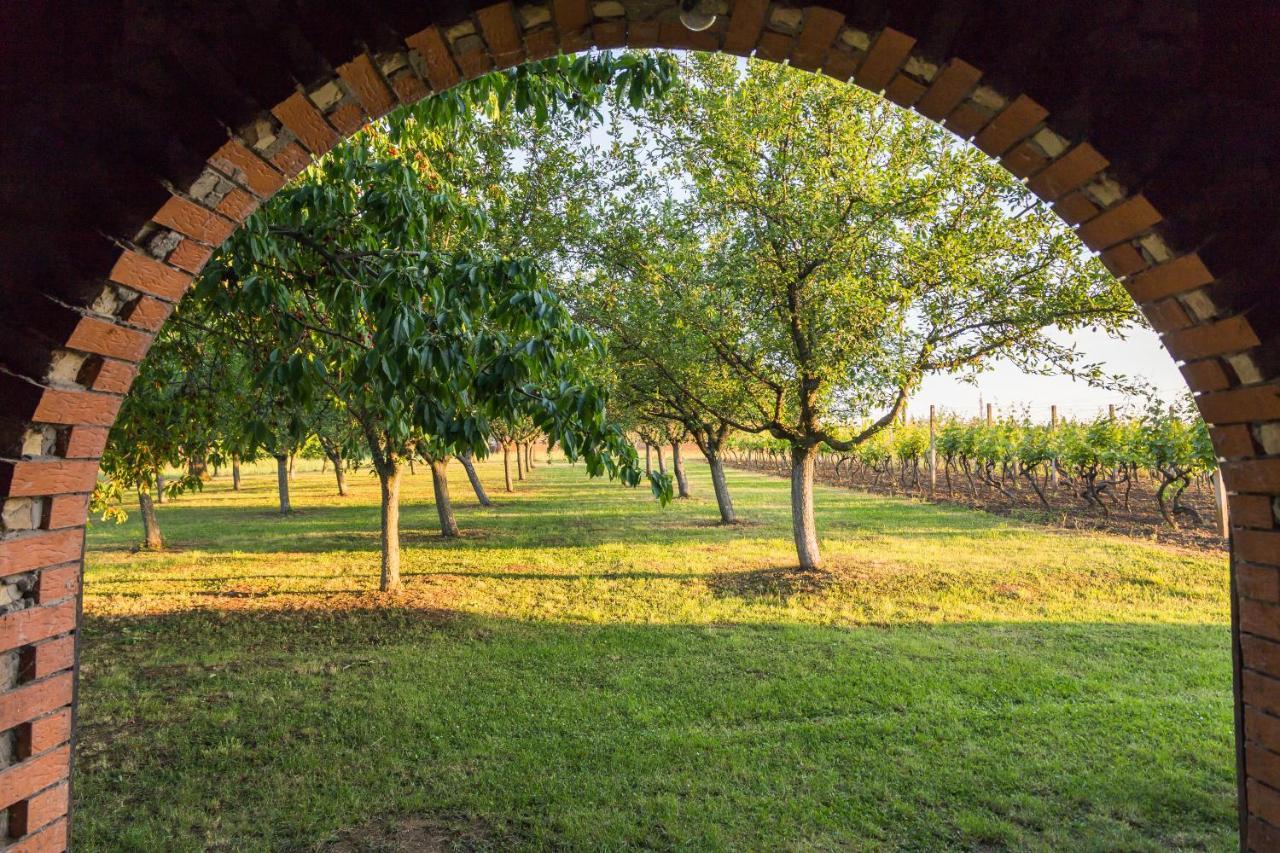 Village Wine House Mandicevac Exterior foto